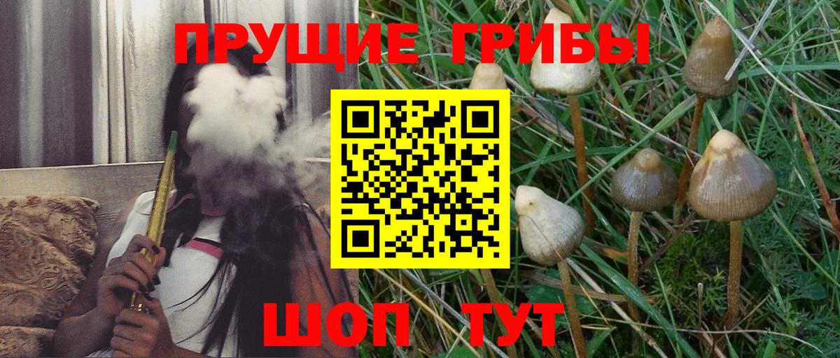 Псилоцибиновые грибы MAGIC MUSHROOMS  Галлюциногенные грибы мицелий  Среднеуральск  Вход с VPN 