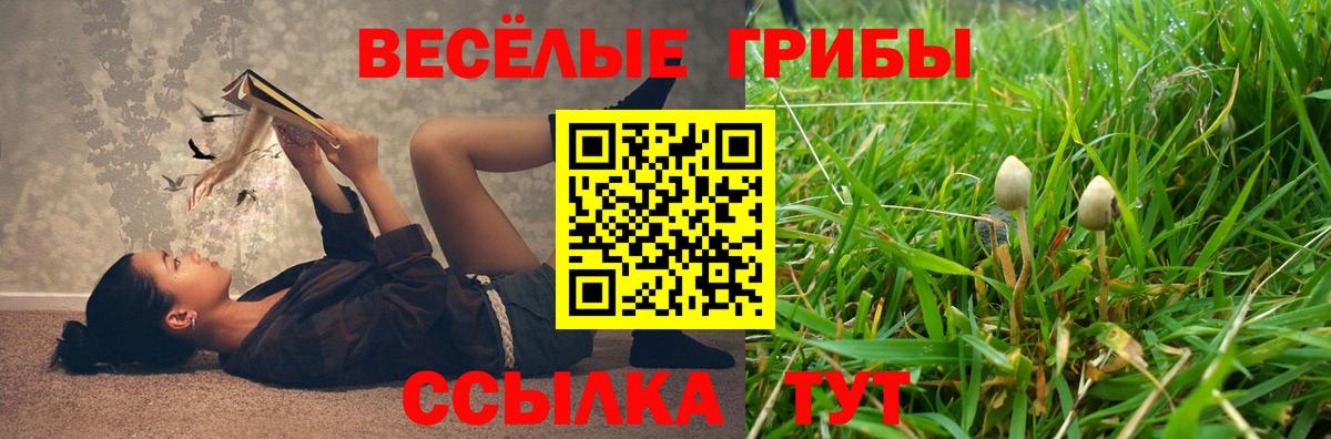 Псилоцибиновые грибы GOLDEN TEACHER Среднеуральск